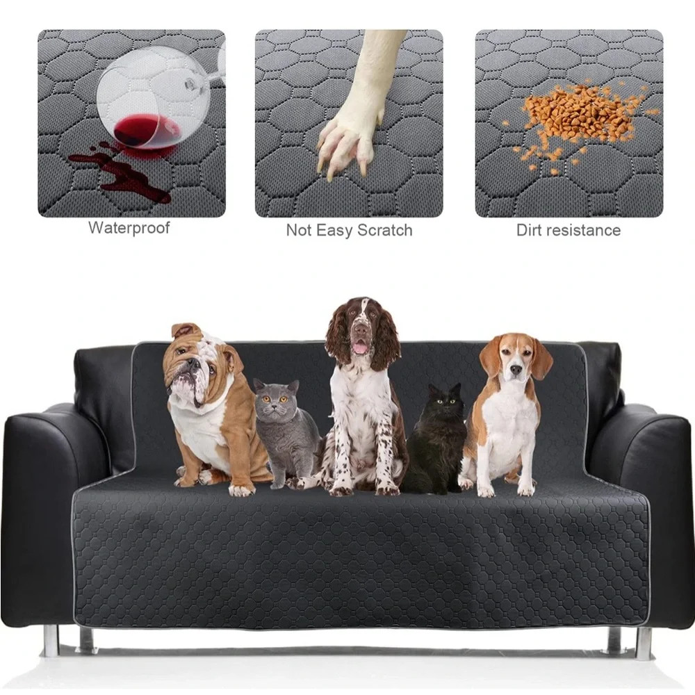 Doggie pee pad